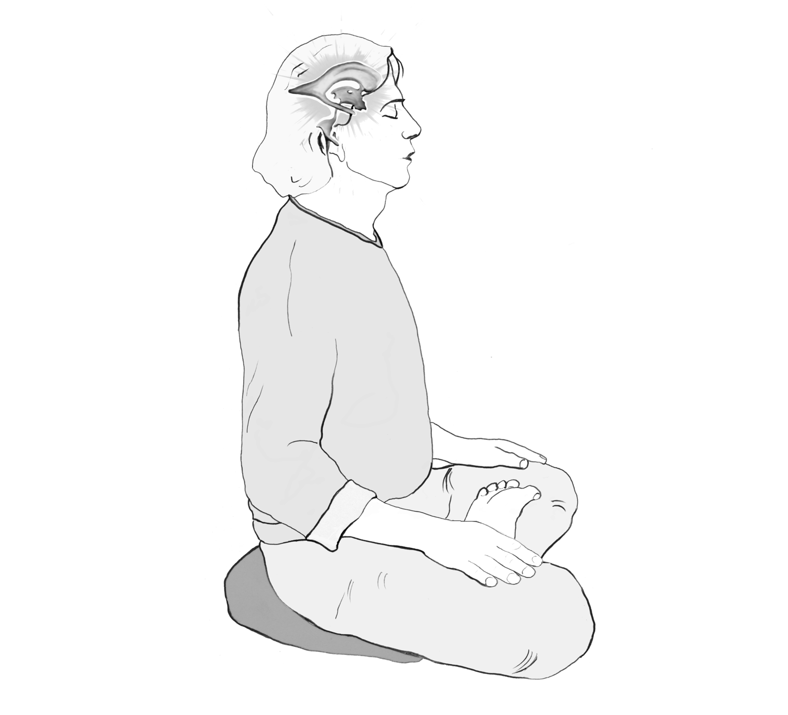 The primary energy center within the third ventricle